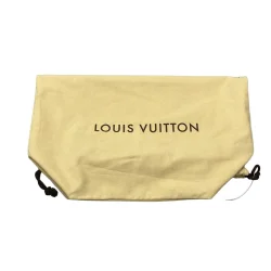 Louis Vuitton Reporter PM