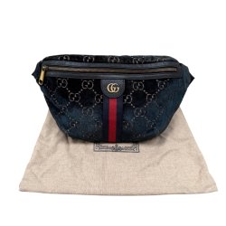 Gucci bumbag 