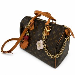Louis Vuitton Speedy 30 Classic icon