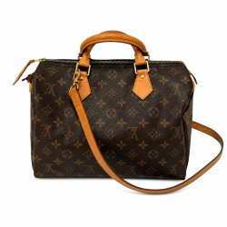 Louis Vuitton Speedy 30 Classic icon