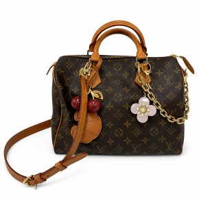 Louis Vuitton Speedy 30 Classic icon